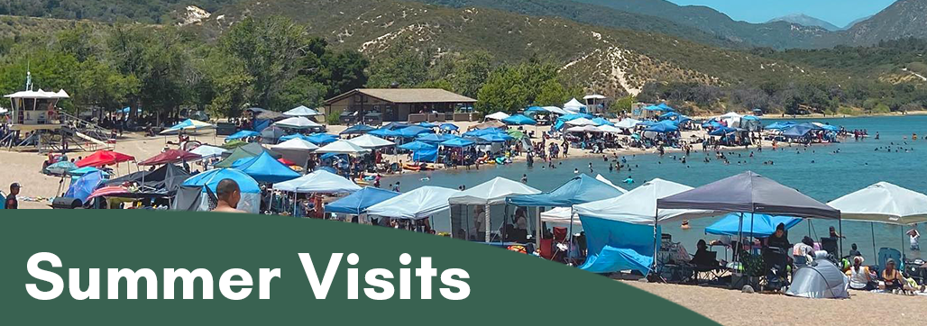 Summer Visits Banner